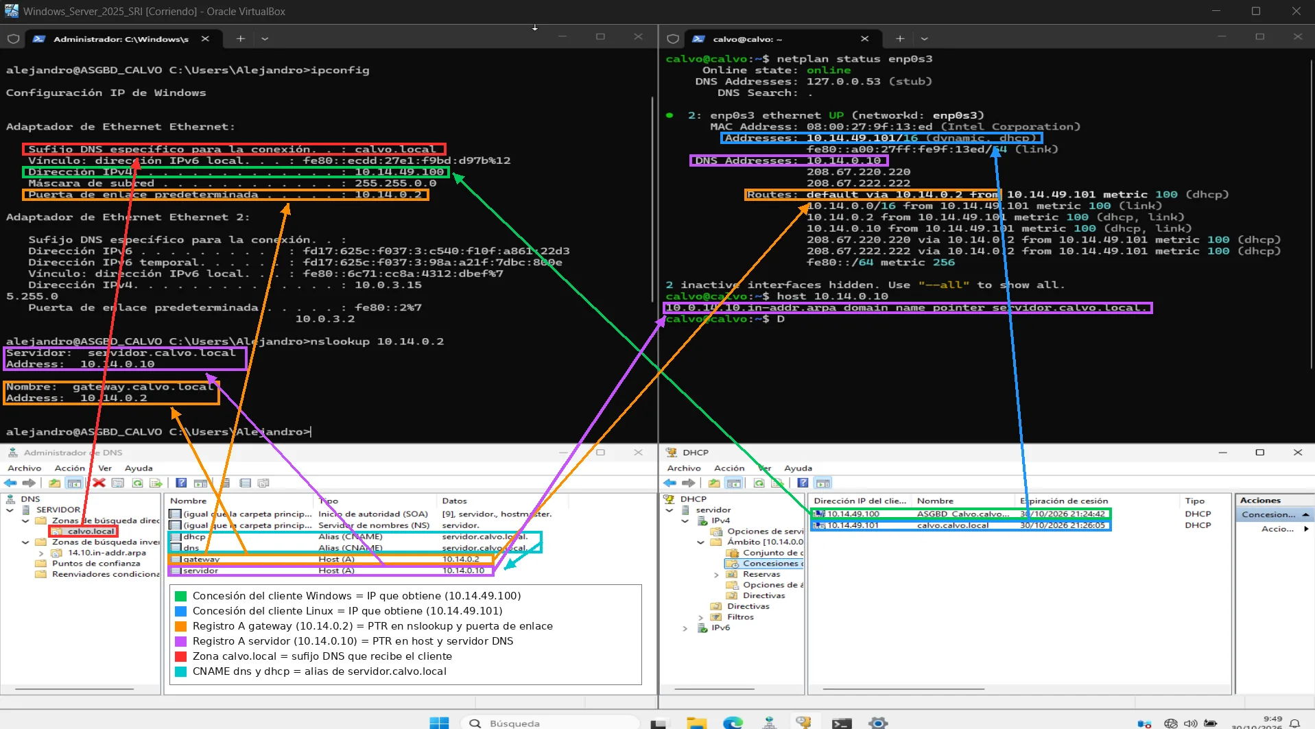 Cliente Windows y cliente Ubuntu con IP por DHCP, consola DNS con la zona calvo.local y sus registros A y CNAME, y consola DHCP con las dos concesiones